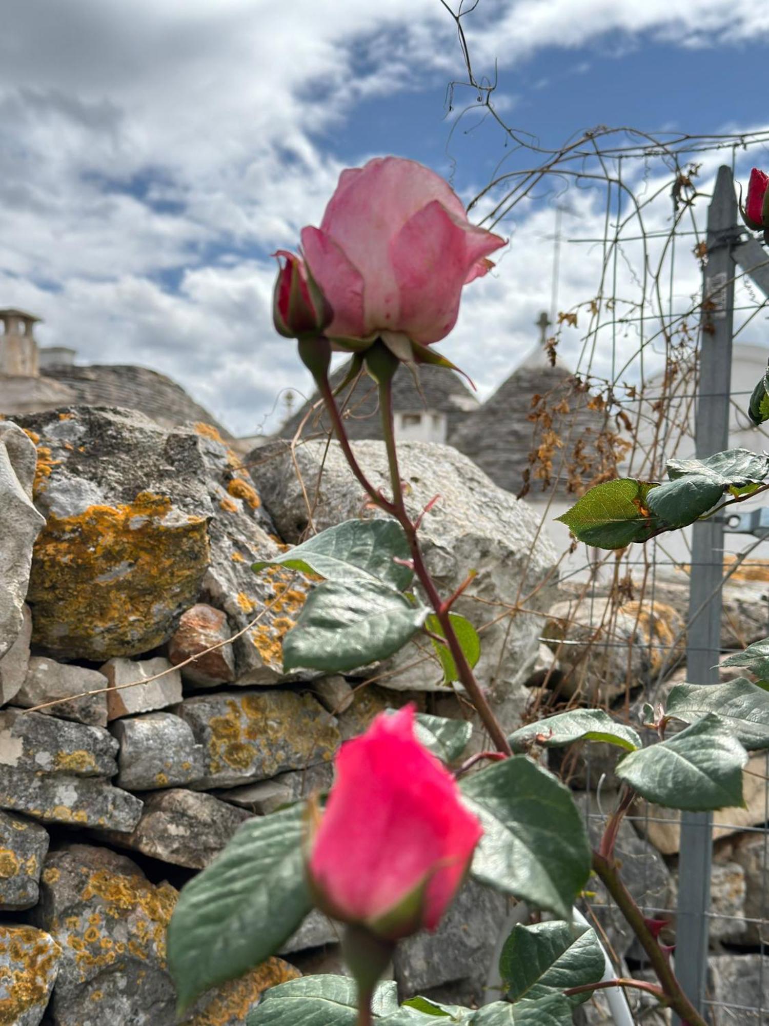Trulli Resort Aia Piccola Alberobello Ngoại thất bức ảnh